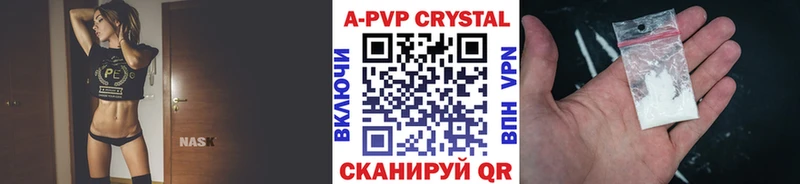 Альфа ПВП СК КРИС  Грязовец 