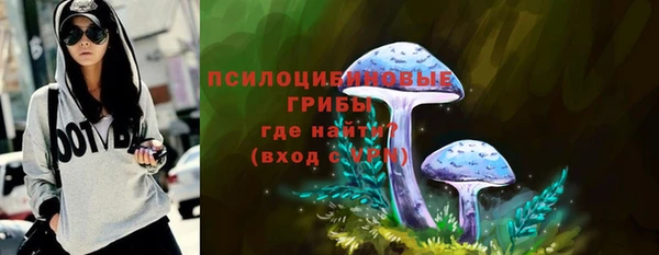 меф Вяземский