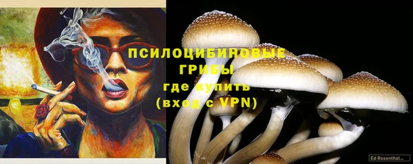 меф Вяземский