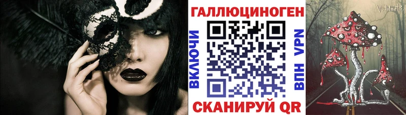 Псилоцибиновые грибы Cubensis Грязовец